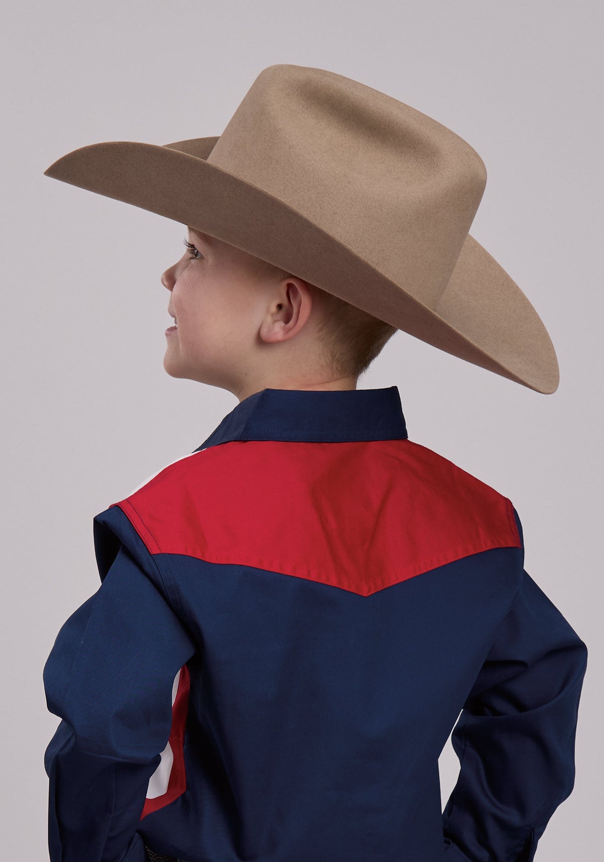 Roper Boys Roper Vertical Stars And Stripe Print Western Snap Shirt